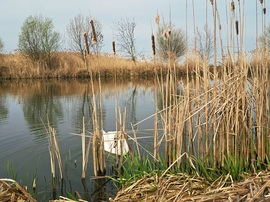 Balatonmáriafürdő
