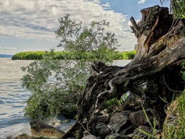 Balatonszemes 