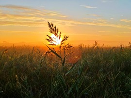 Balatonlelle 