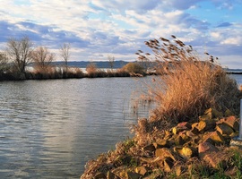 Balatonmáriafürdő
