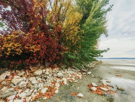Balatonszemes 