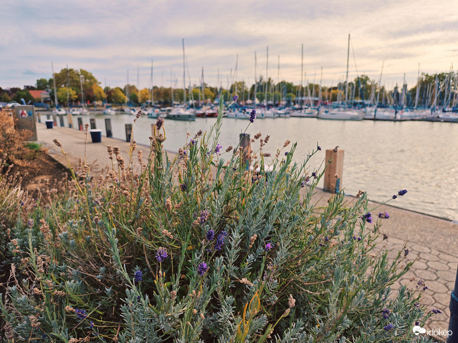 Balatonboglár 