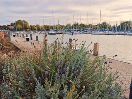 Balatonboglár 