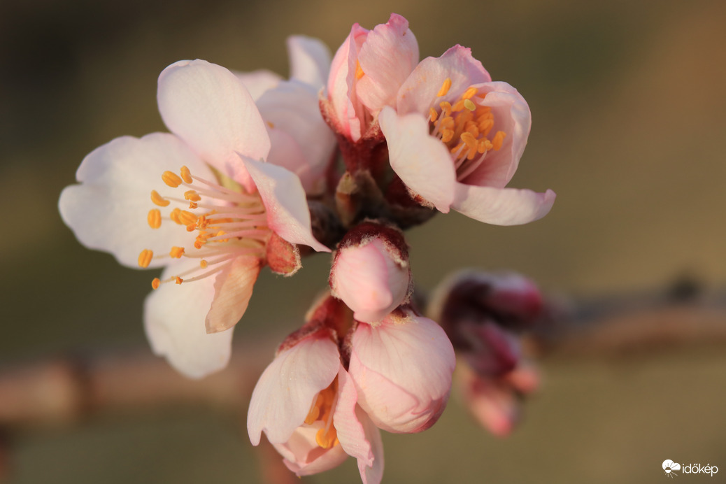 Ébresztő, itt a tavasz!