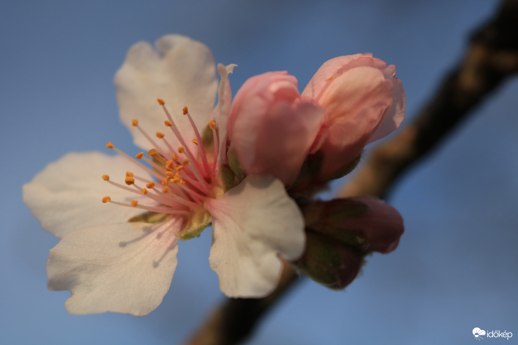 Véget ért a téli álom