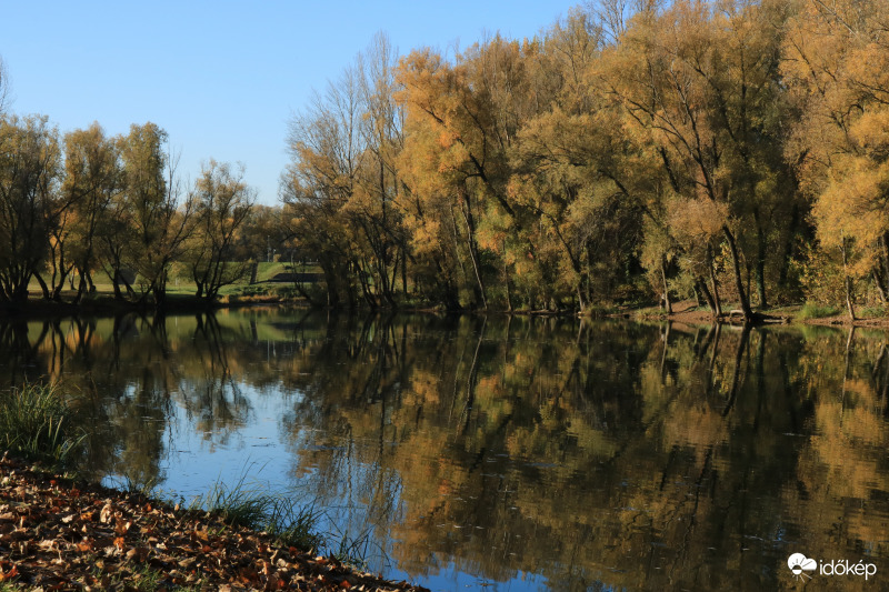 Szívesen jövök máskor is