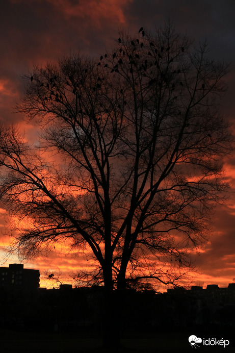 Ebből még bármi lehet ma