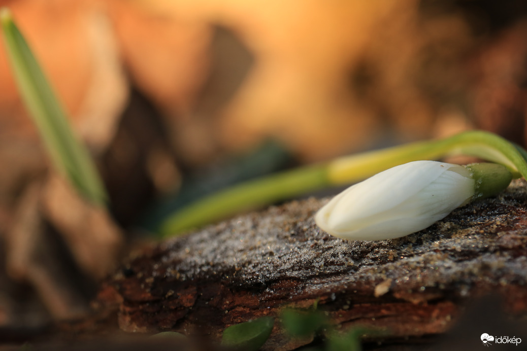 Fagyottan feküdtem reggelre
