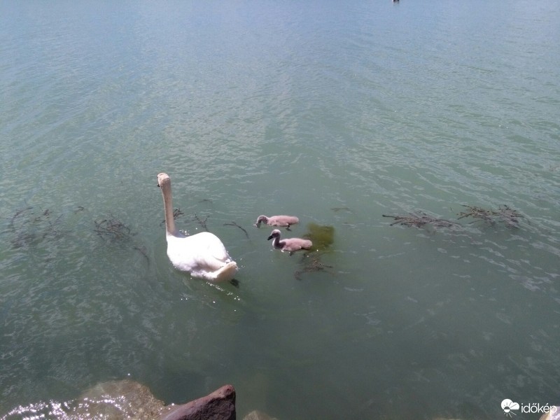 Balatonrendes