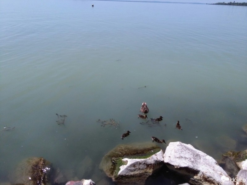 Balatonrendes