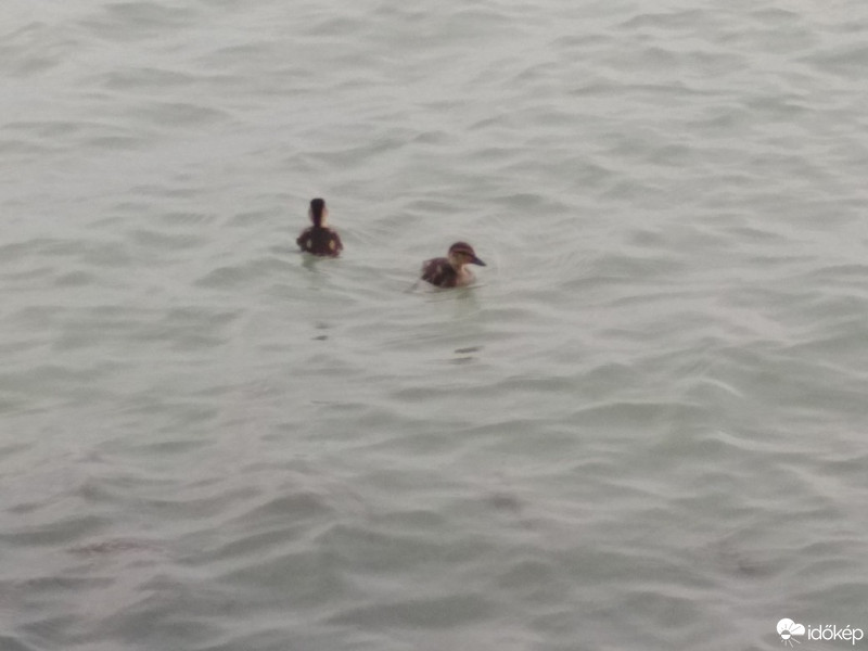 Balatonrendes