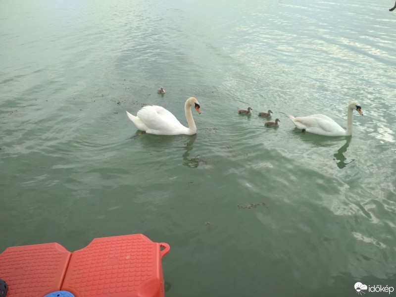 Balatonrendes