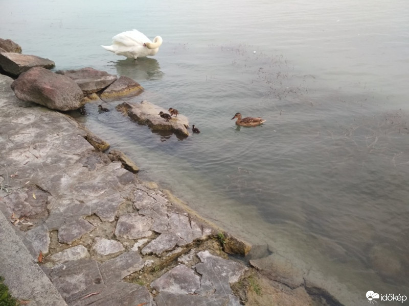 Balatonrendes