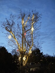 Budapest III.ker - Óbuda