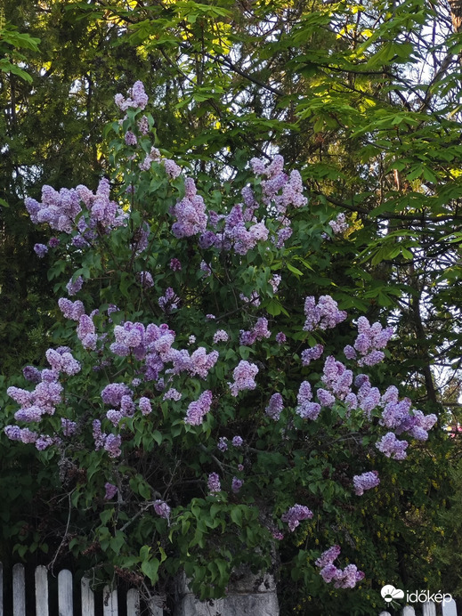 Budapest XII.ker - Németvölgy