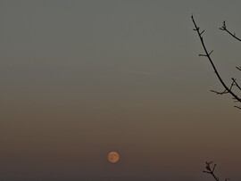 Budapest XII.ker - Sas-hegy