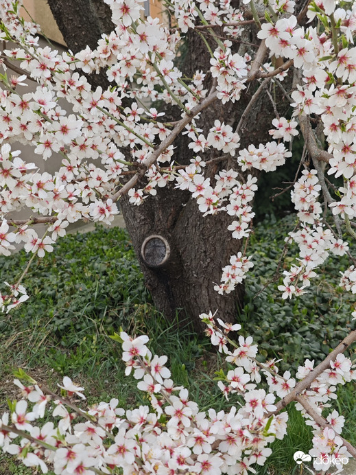 Budapest XII.ker - Németvölgy