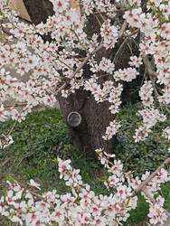 Budapest XII.ker - Németvölgy