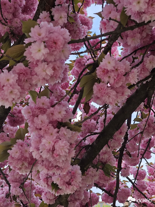 Budapest XII.ker - Krisztinaváros