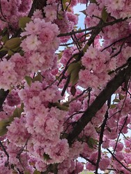 Budapest XII.ker - Krisztinaváros