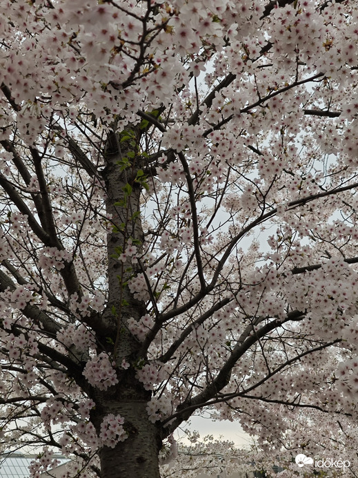 Budapest I.ker - Vár