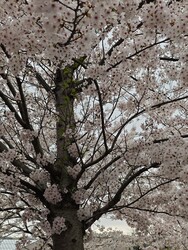 Budapest I.ker - Vár