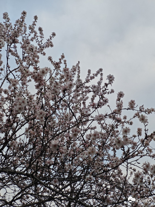 Budapest XII.ker - Németvölgy