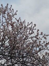 Budapest XII.ker - Németvölgy