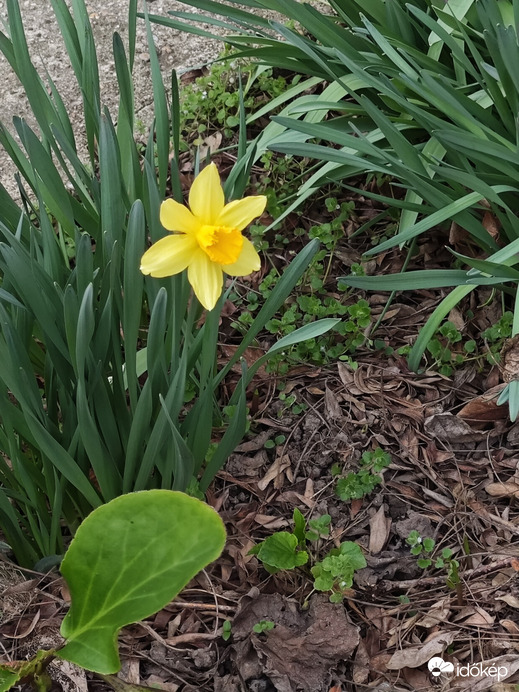 Budapest XII.ker - Krisztinaváros