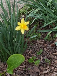 Budapest XII.ker - Krisztinaváros