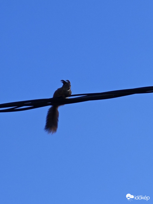 Budapest XII.ker - Krisztinaváros