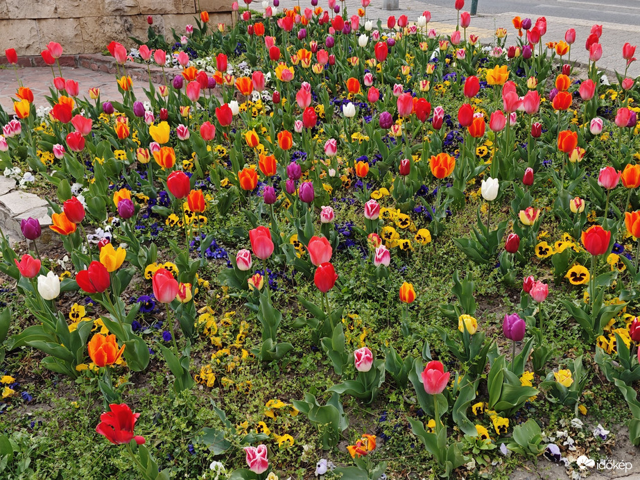 Budapest XII.ker - Krisztinaváros