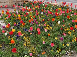 Budapest XII.ker - Krisztinaváros