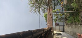 Szarvas