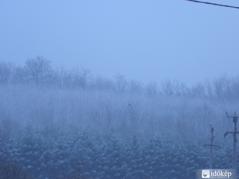 Fehèrbe boruló erdõ!