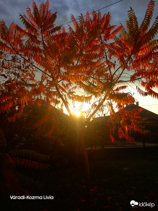 Őszi naplemente ♡