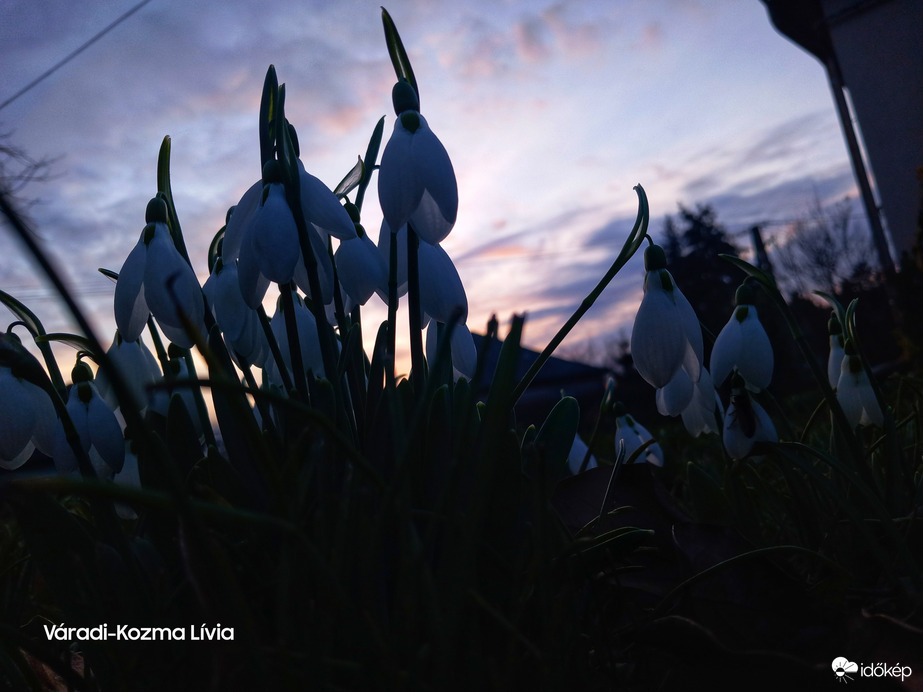 Hóvirágos naplemente 