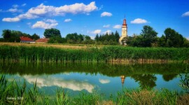 Víztükör 