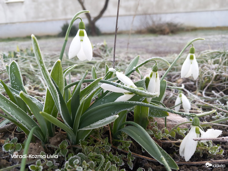 Ma is deresen indul a reggel