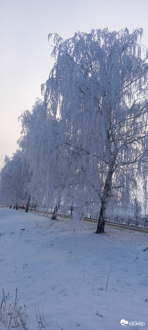 Újabb zúzmarás reggel