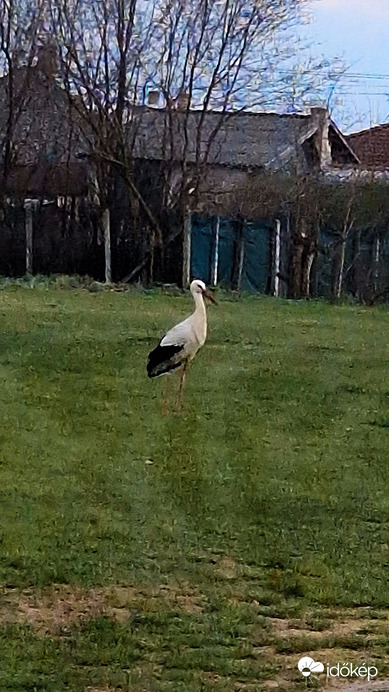 Hozzánk is megérkezett