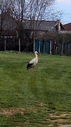 Hozzánk is megérkezett