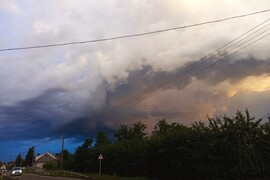 hoolibaba fotója