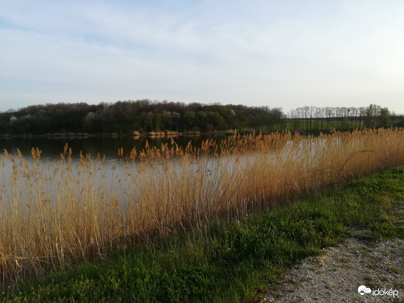 Tavasz a tóparton