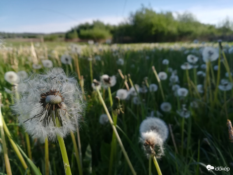 A felét elfújta a szél