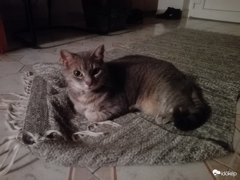 Leharcoltam a szőnyeget :)