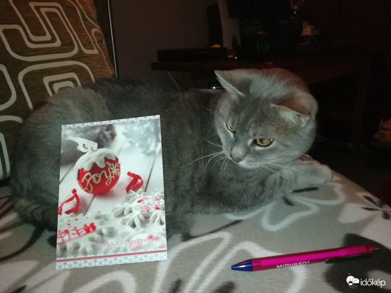 Semmiképp nem akartam segíteni, de muszáj volt! :D