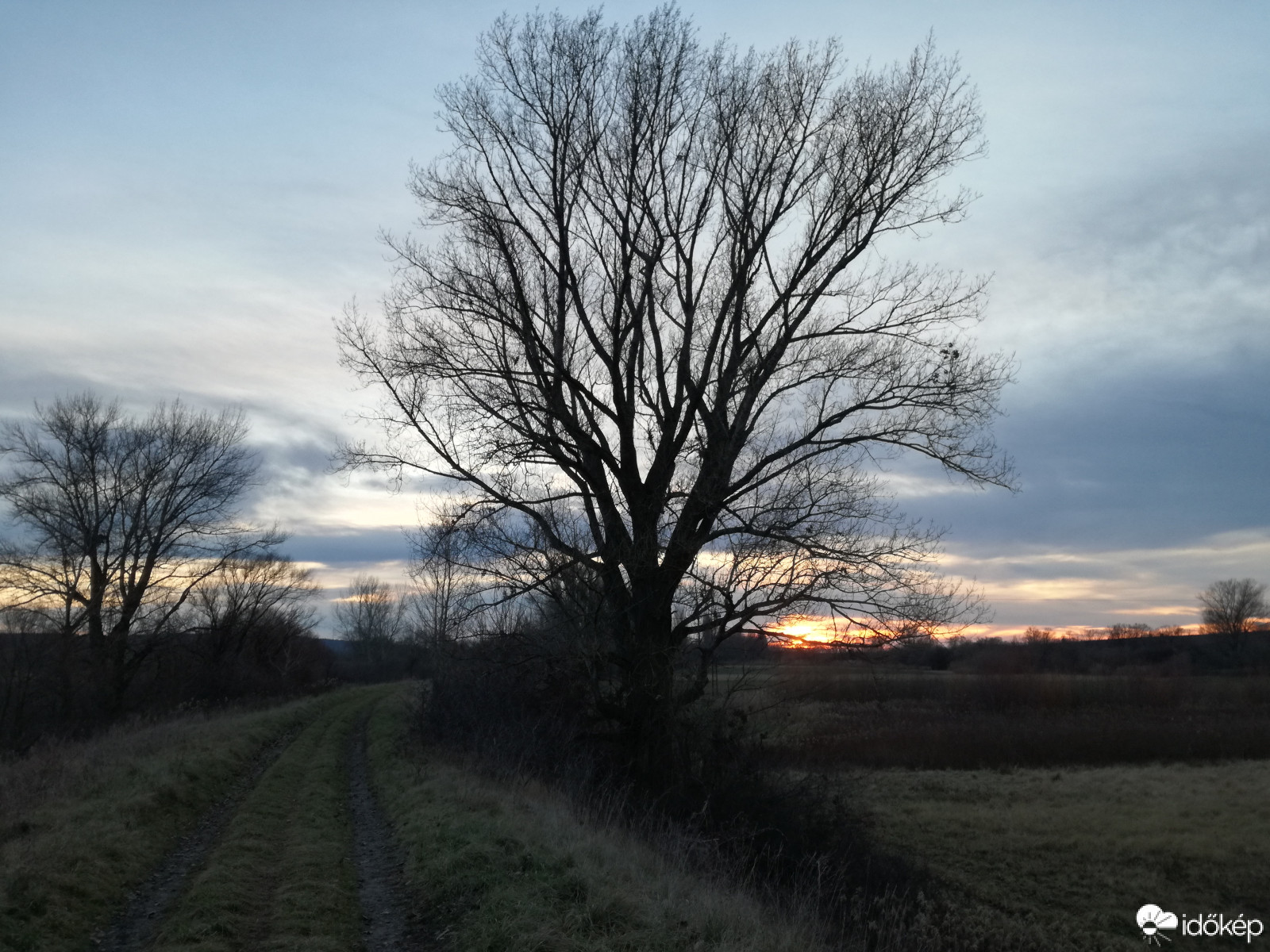 Boldog új évet kívánok! :)