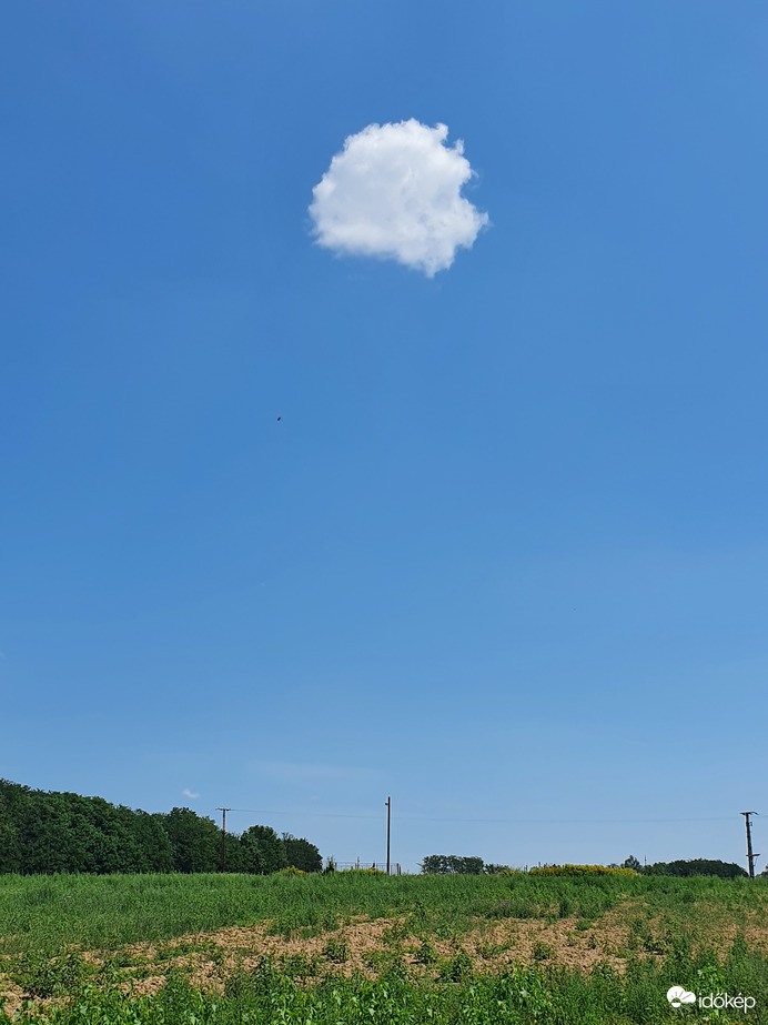Magányos farkas...azaz bárány(felhő)