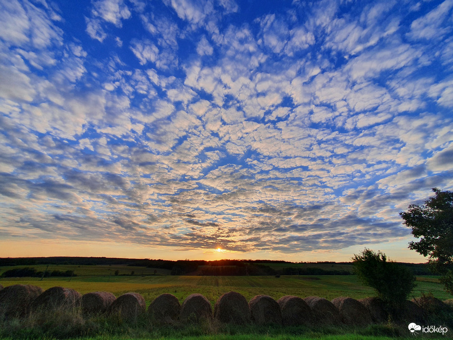 Pénteki esti égi birkabunda naplemente idején